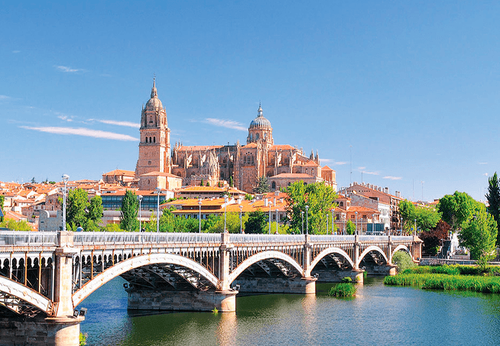 Imagen de Psicólogos en Salamanca